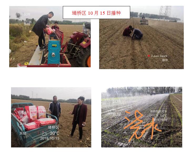1540888430565814.jpg QQ截圖20181030162954.jpg